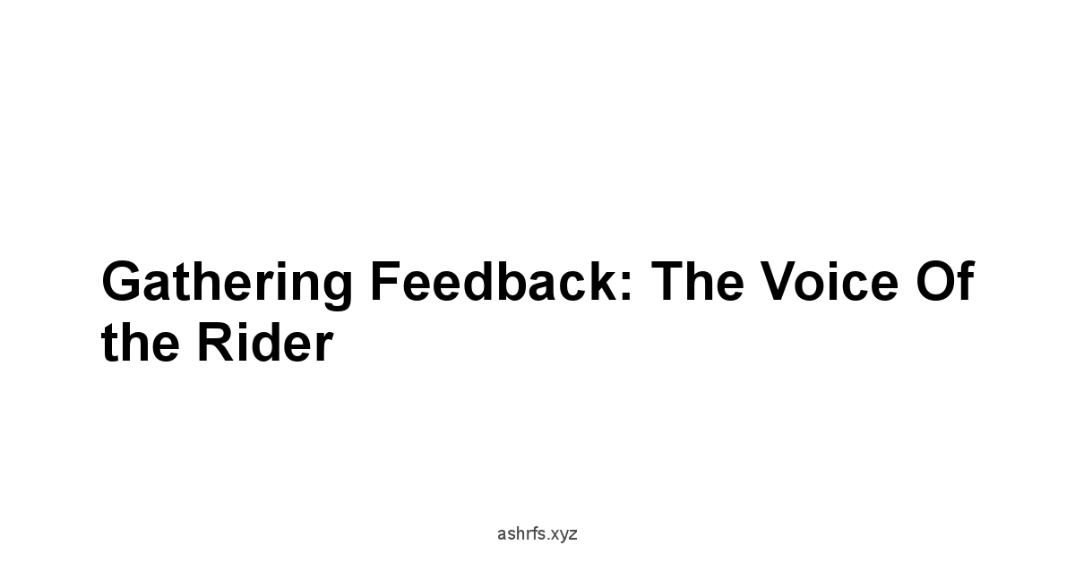 Gathering Feedback: The Voice of the Rider