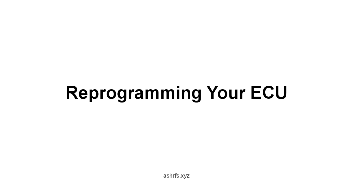 Reprogramming Your ECU