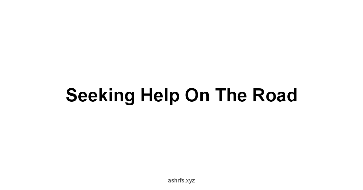 Seeking Help on the Road